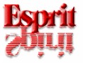 Esprit International Communications, Boston - logo